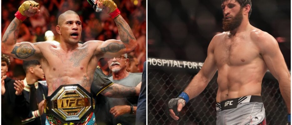 Magomed Ankalaev traite Alex Pereira de “poulet”