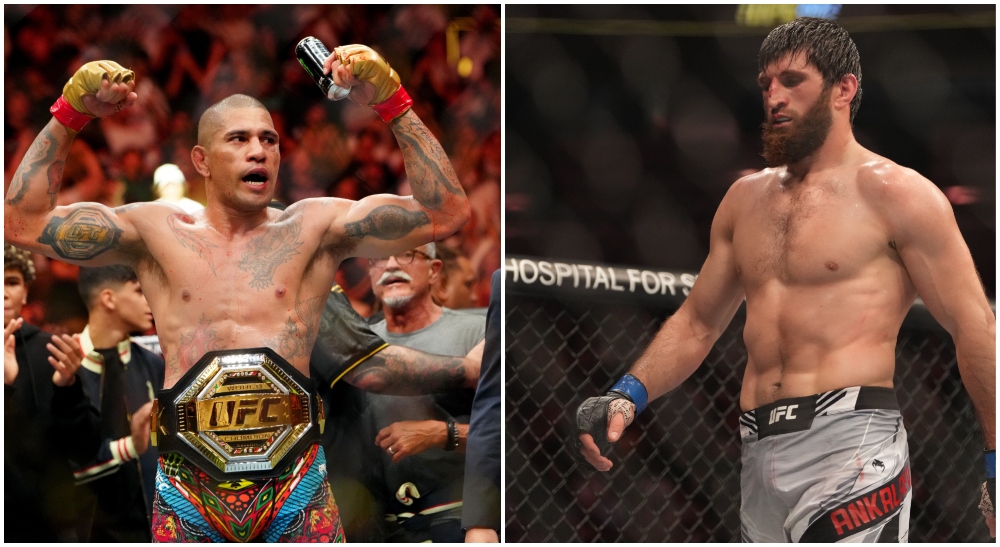 Magomed Ankalaev traite Alex Pereira de “poulet”