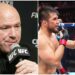 Dana White rejette un combat revanche immédiat entre Cejudo et Yadong