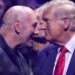 Dana White